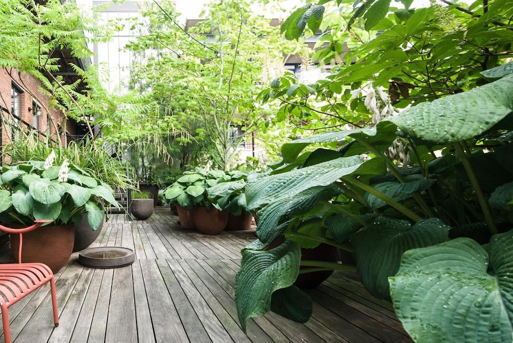 Stout & Co. en Amsterdam — balance & terrace