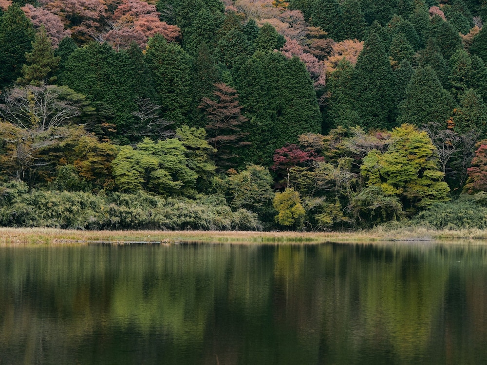 GEOSPOT MOTOHAKONE B