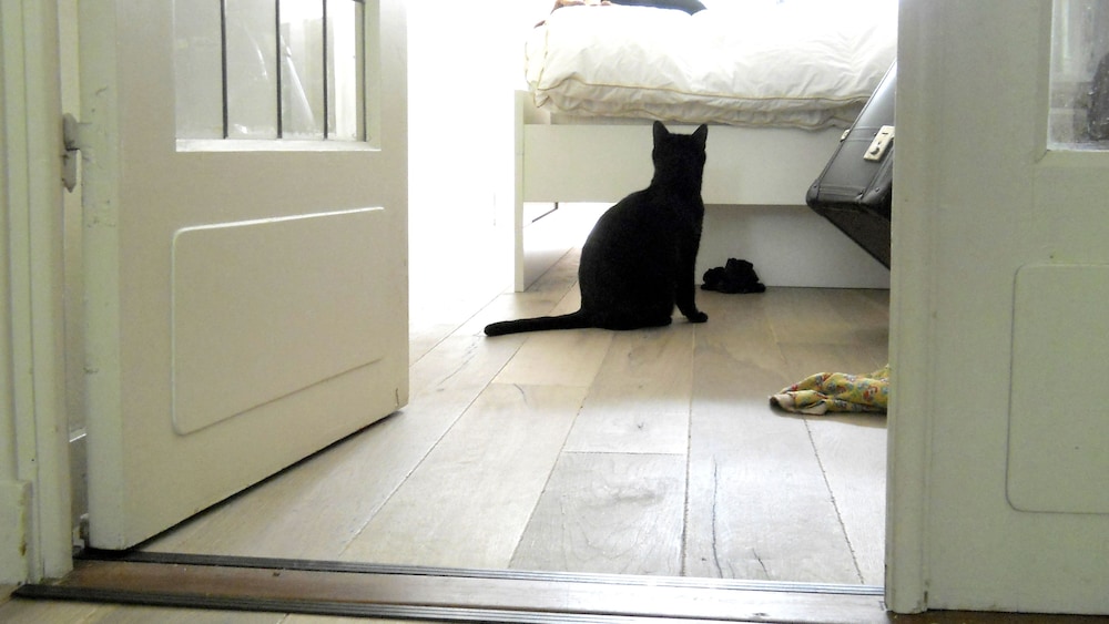 Miss Ortelia b&b