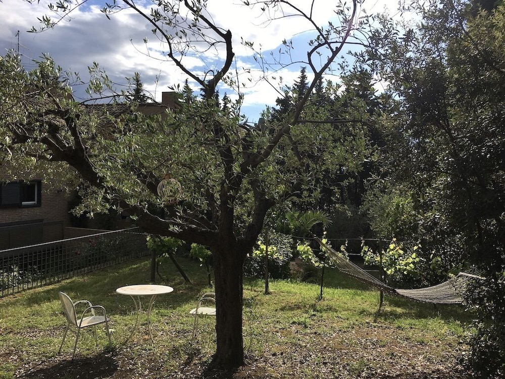 Photo 44