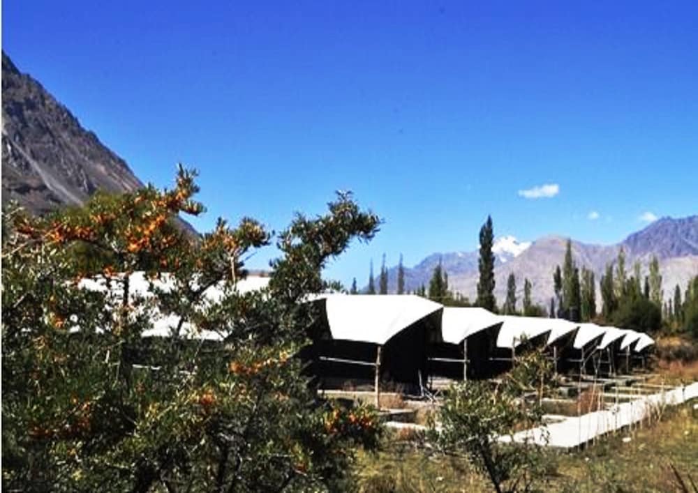 TIH Cold Desert Camp