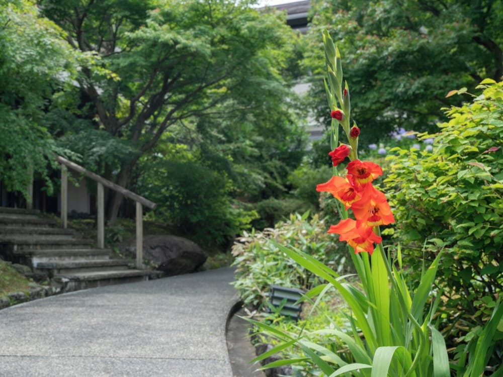 Narashino no sato Gyokusui -6 years or older-
