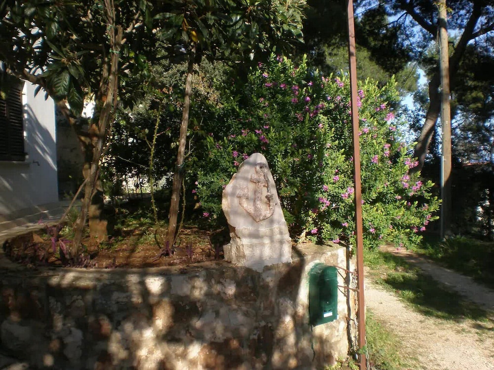Photo 46