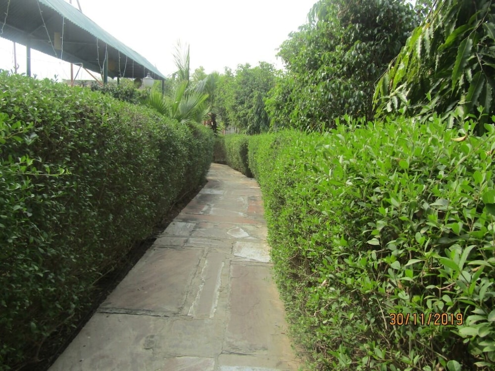 Van Chhavi Resort