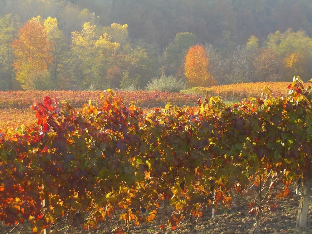 Cascina Il Ginepro