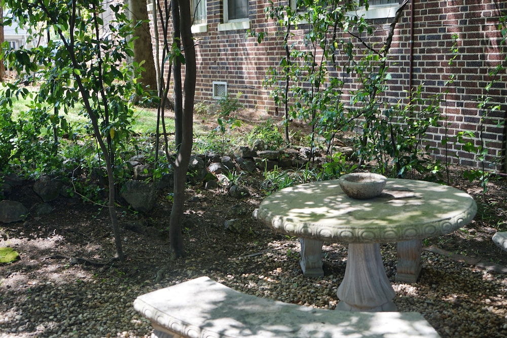 Tree House, photo 9