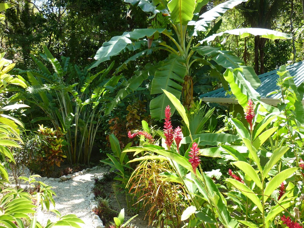 Hotel El Pequeño Gecko Verde