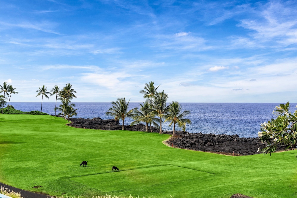 Unbelievable Ocean Front View w Pool - AC - Outdoor Seating!- Vrkcv