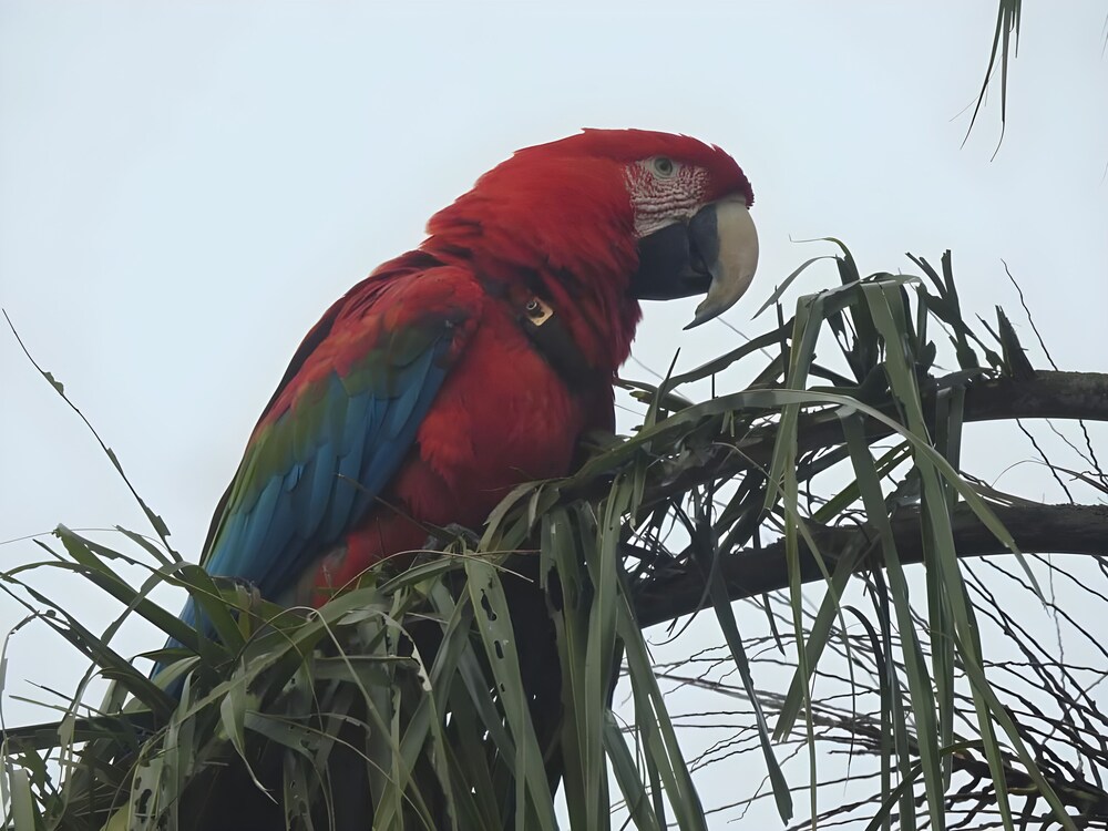 Wild Wetlands Lodge