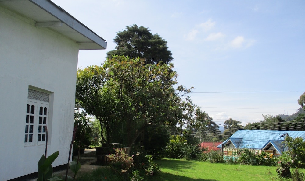 Andrews Hostel