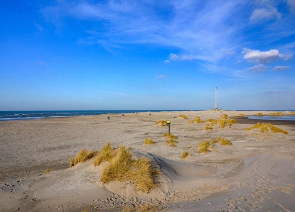 Bungalow in Netherlands Near the Coast, photo 15