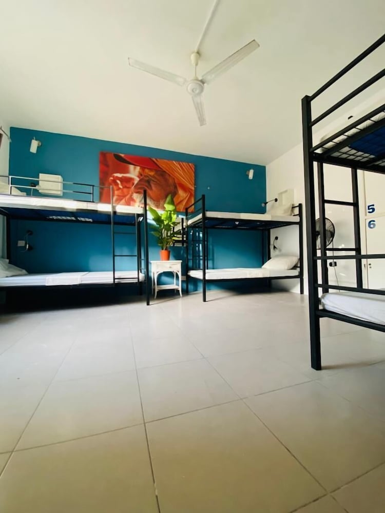 The Paceville International House. photo 3