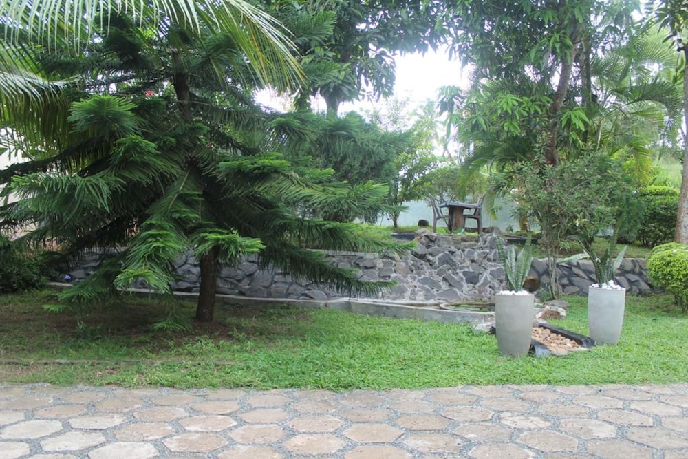 Photo 19