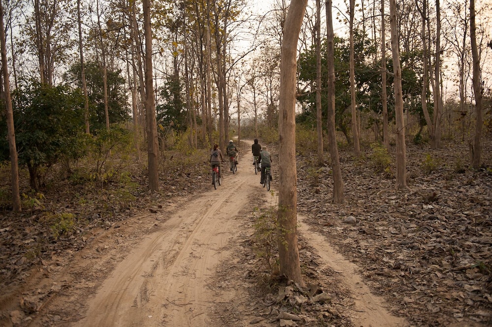 Jim's Jungle Retreat