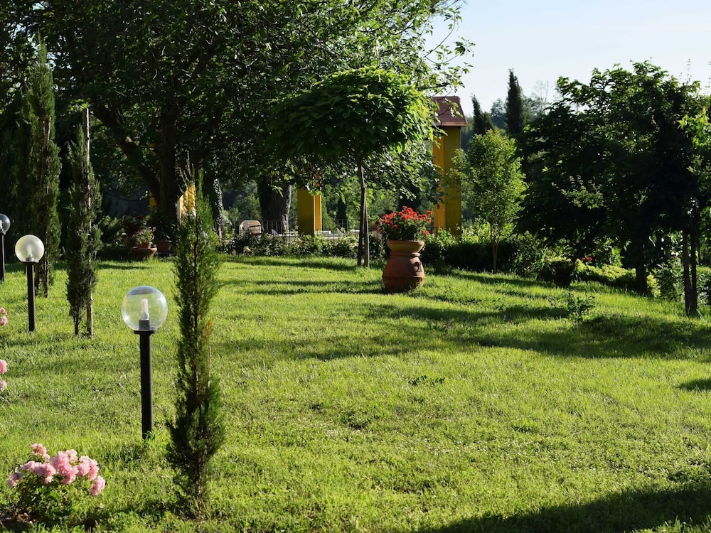 Photo 24
