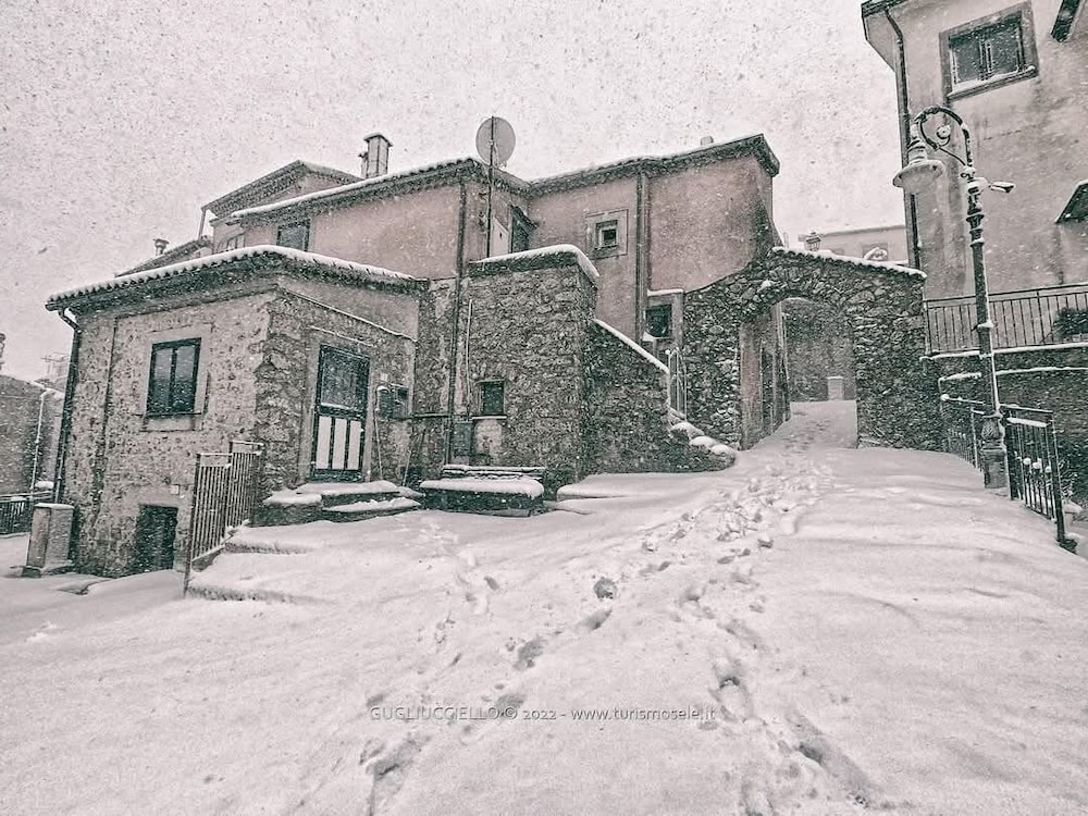 tartufo hotel