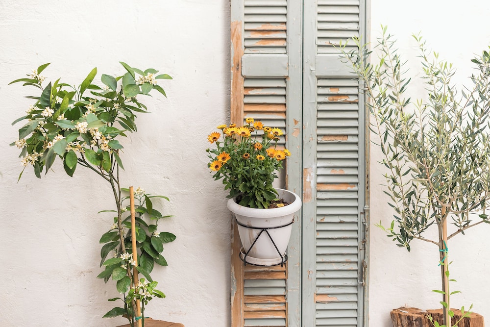 Stunning Design 1BR Secret Garden