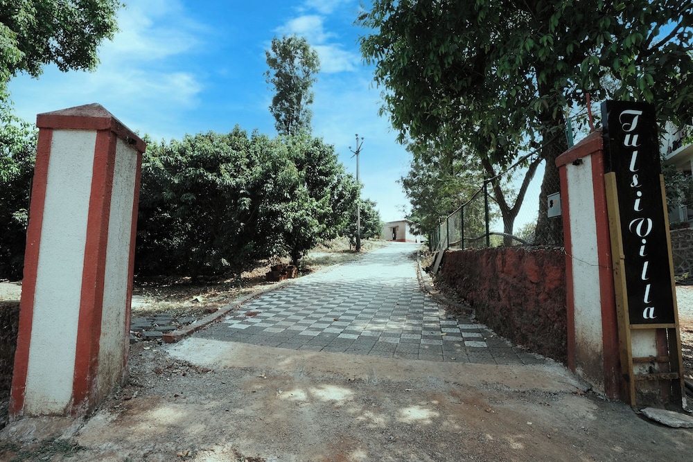 Photo 46