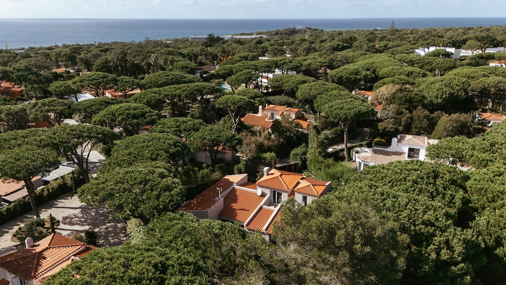 Light Villa by Cadenzalux