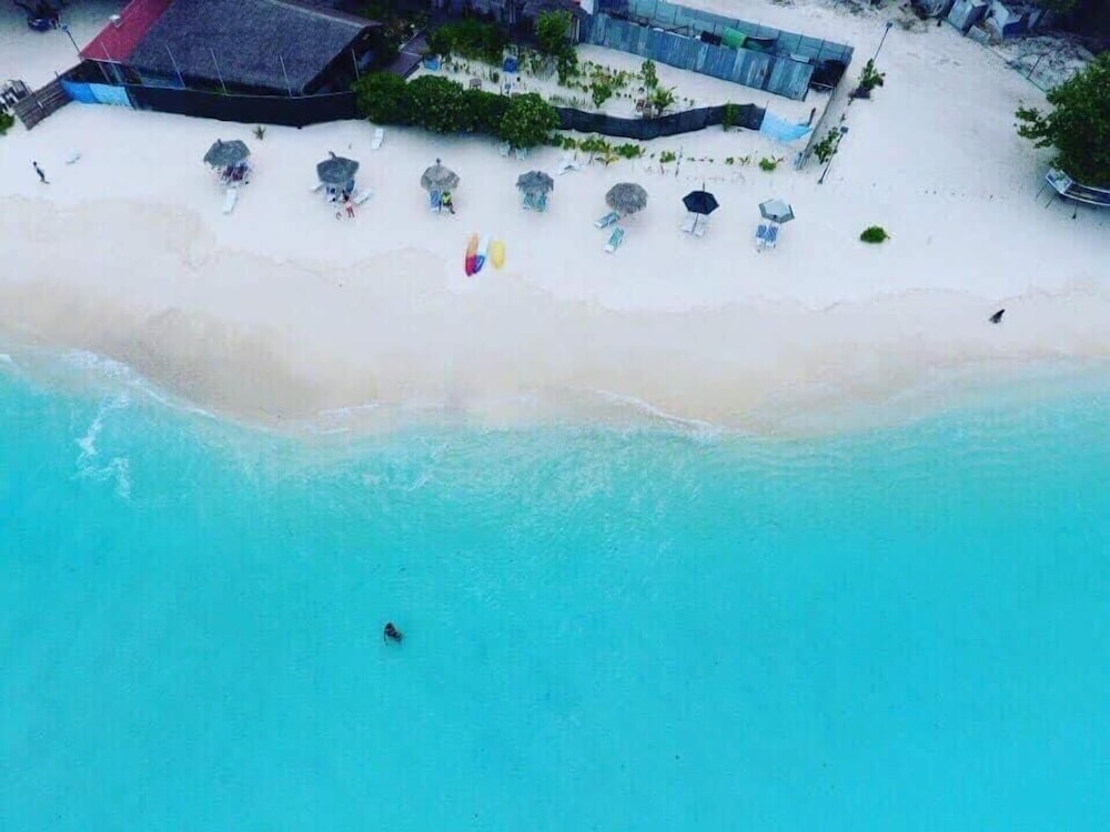 String Wave Maldives