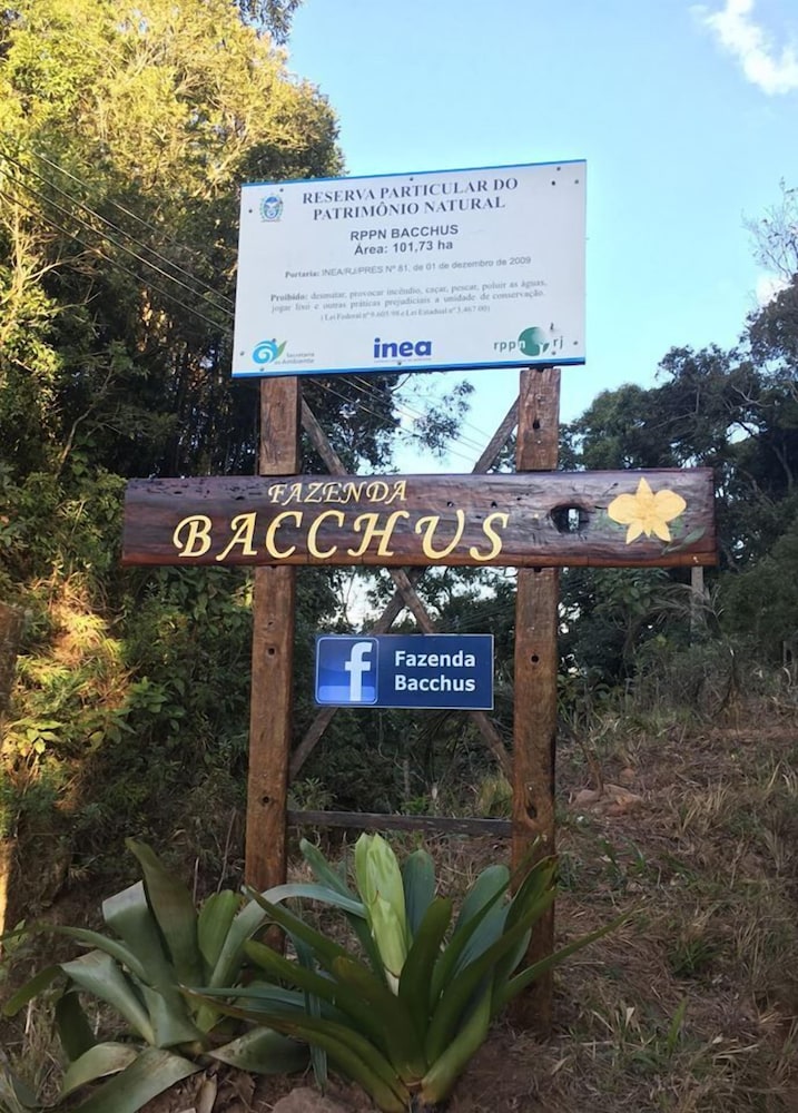 Fazenda Bacchus