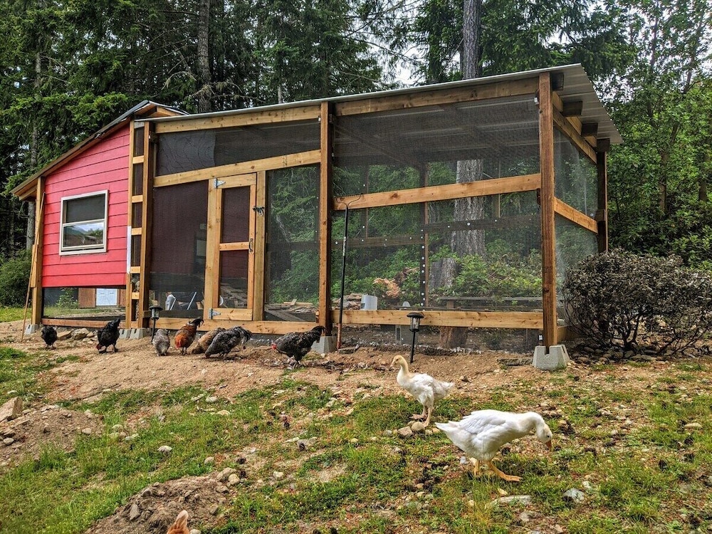 Mountain House of Wonder