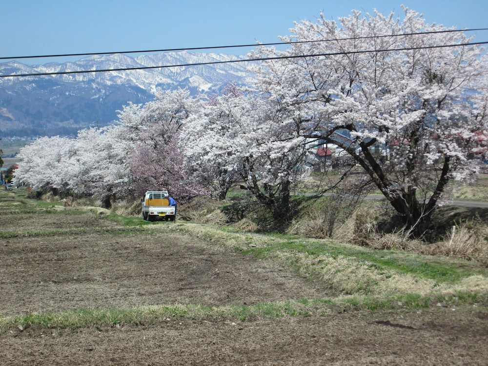 Photo 14