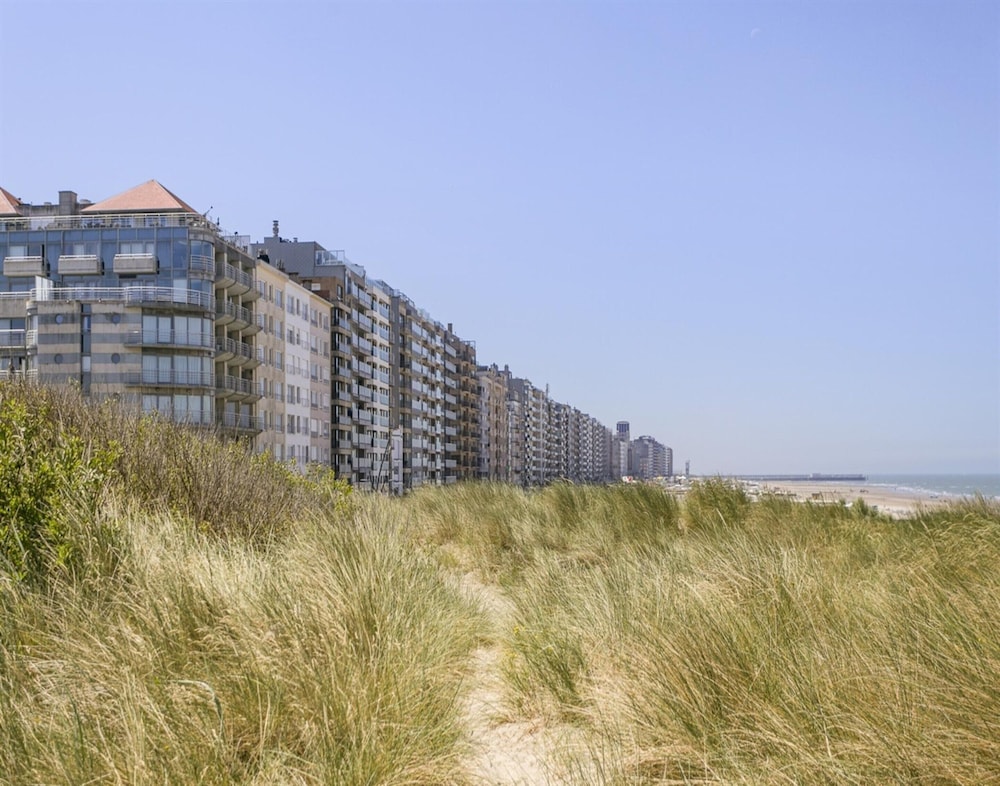 Apartment in Belgium With Sea View