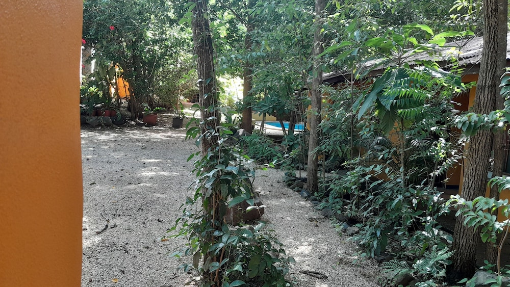 Hotel Cabinas La Playa