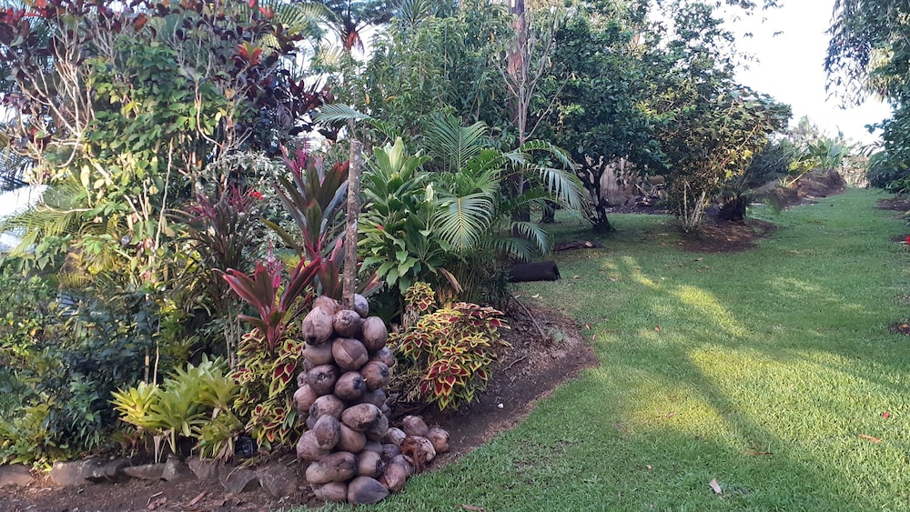 Dave Parker's Eco Lodge