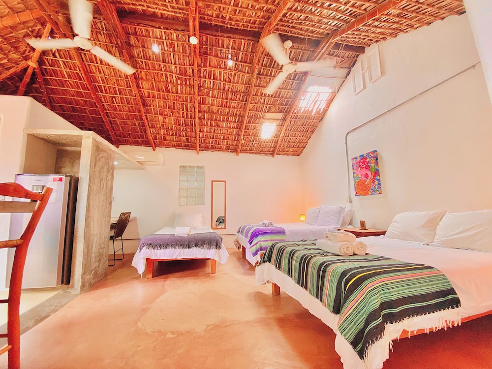 Perro Surfero Hotel Boutique - Todos Santos, BCS