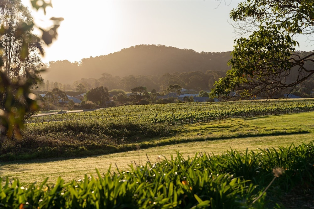 Coolangatta Estate