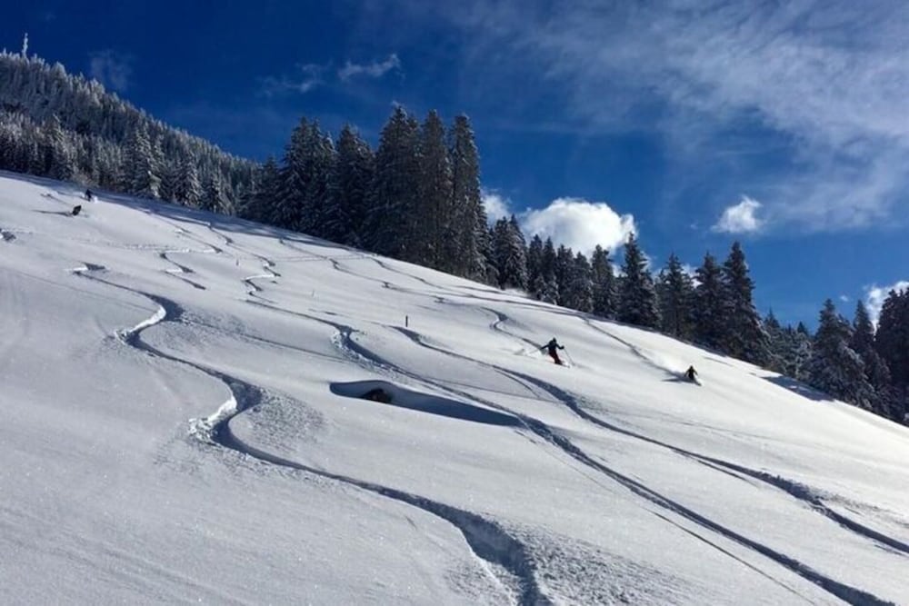 Apartment in Hippach Near Mayrhofen Ski Area