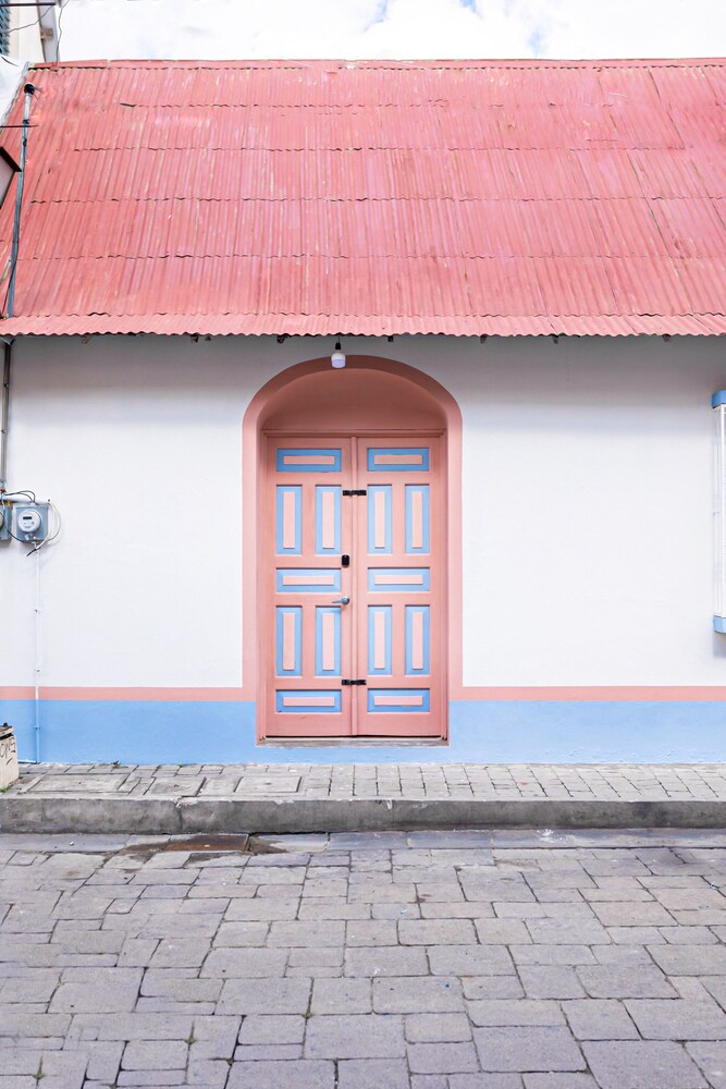 Photo 50