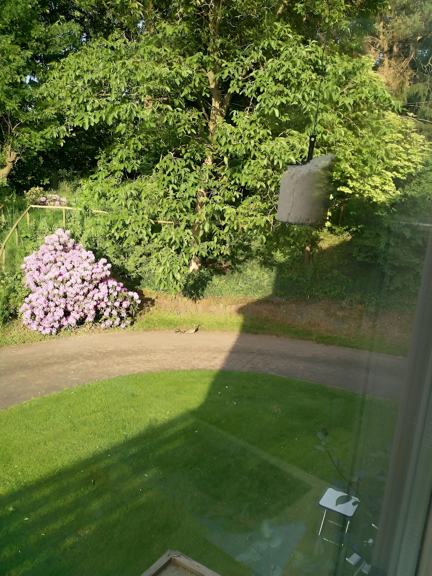 B & B Familie van Vliet view 3