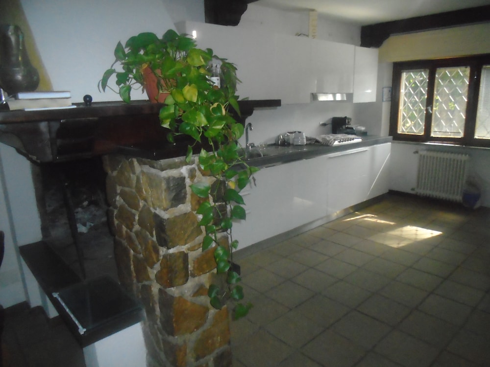 Tropical B&B