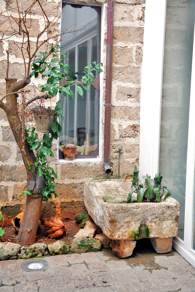 Palazzo Briganti photo 4