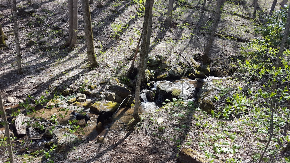 Pisgah View Ranch