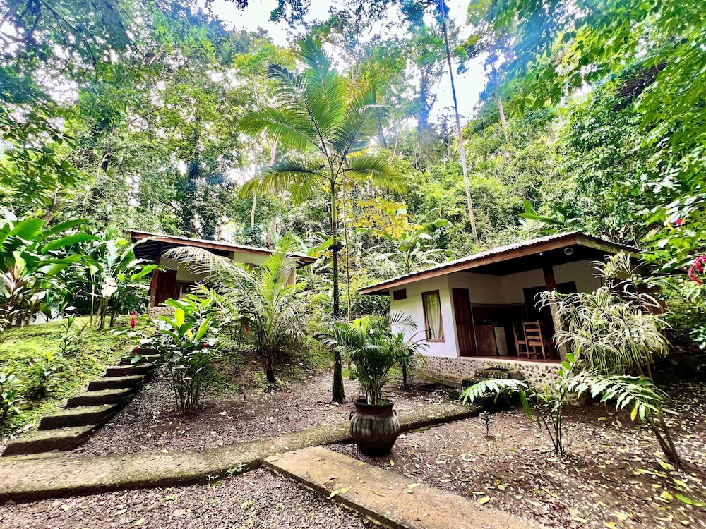 FINCA ARDILLA