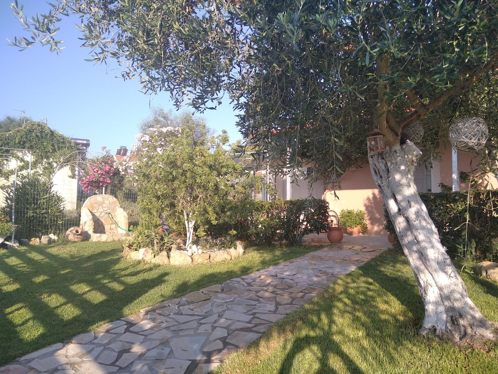 Photo 23