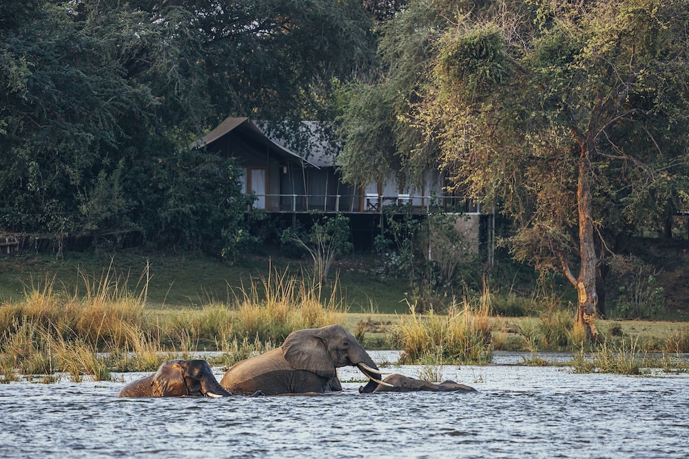 Anabezi Camp
