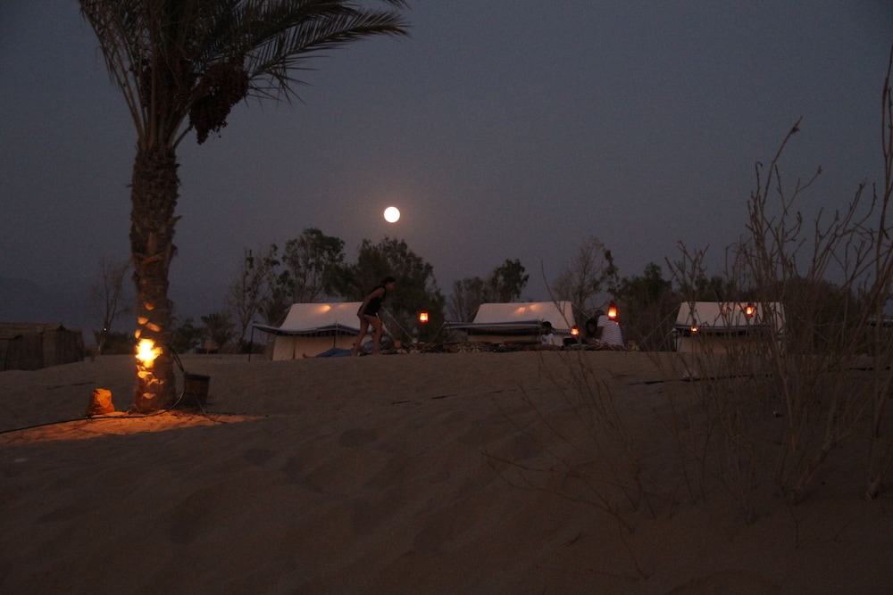 Ayla Camp