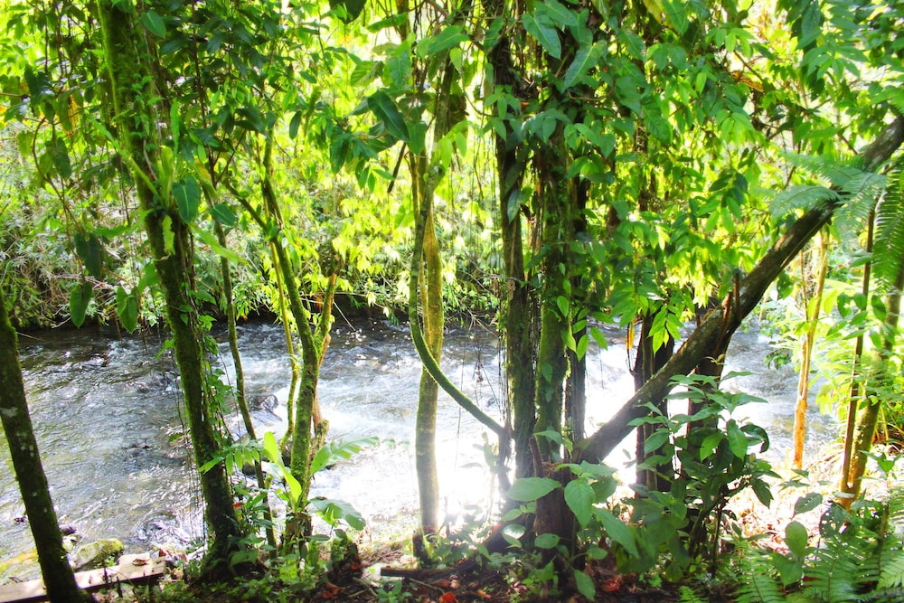 Refugio Puente Explanacion Ecolodge