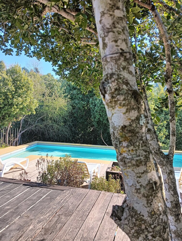 Refugio Silvestre