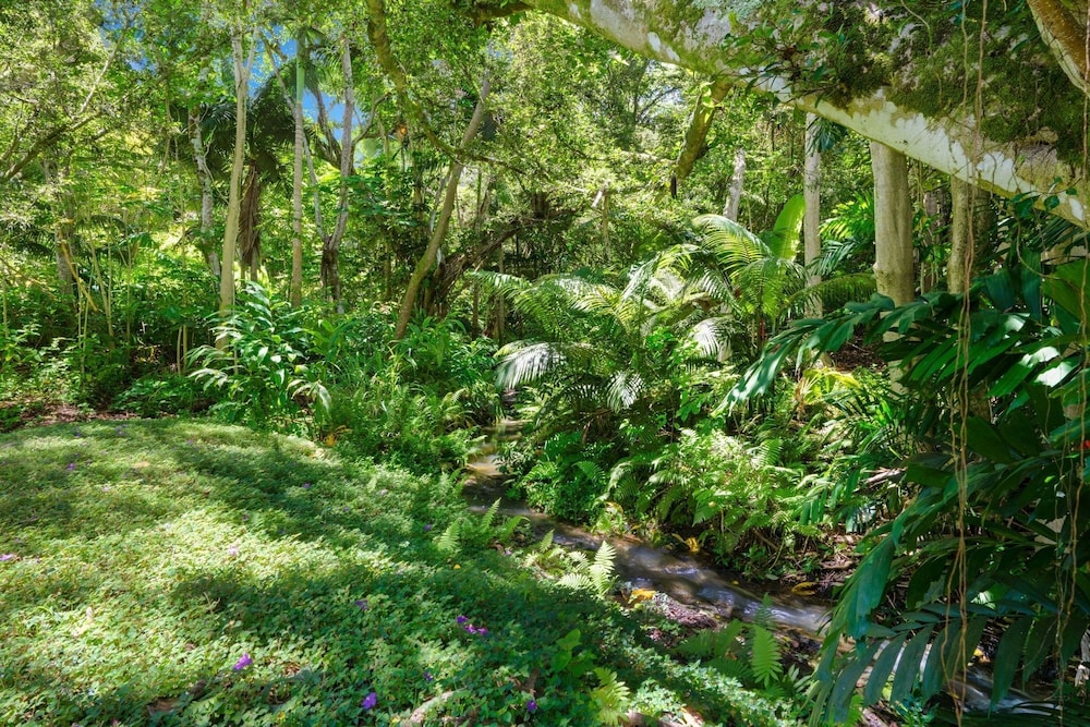 Kapiolani - As Seen On Hgtv 3 Bedroom Home by RedAwning view 4