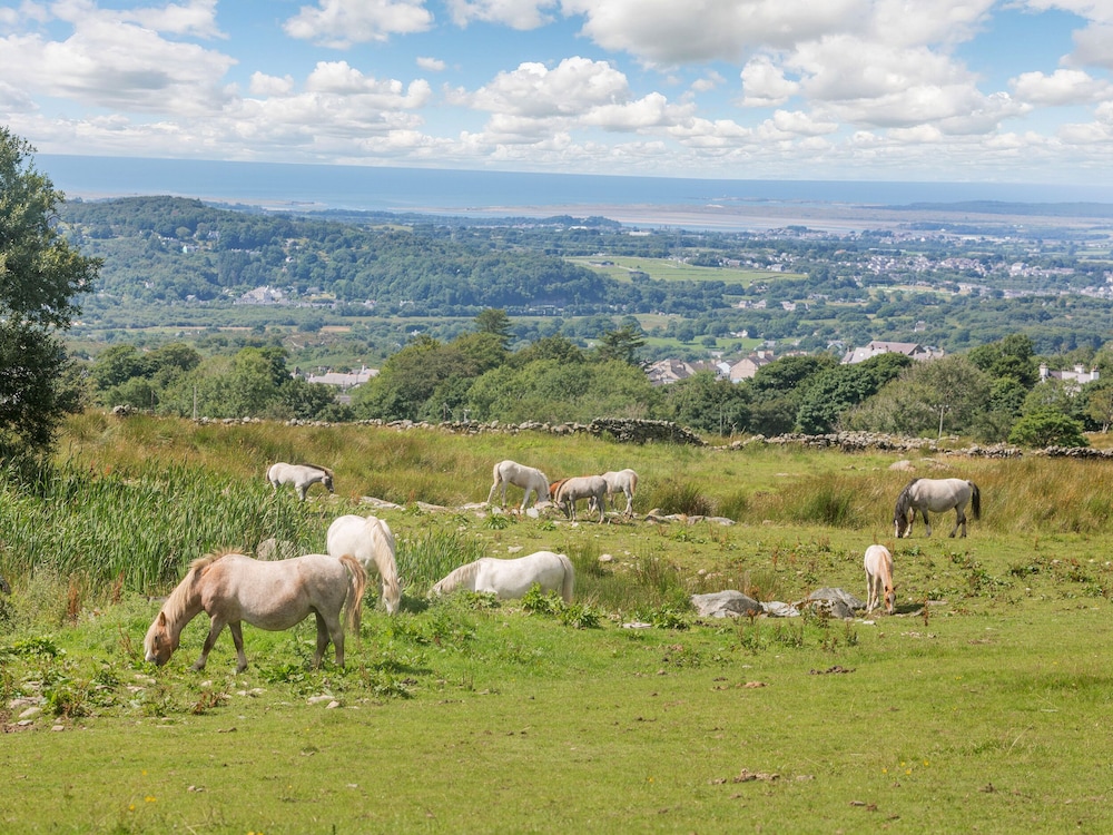 Ffynnon Bach view 5