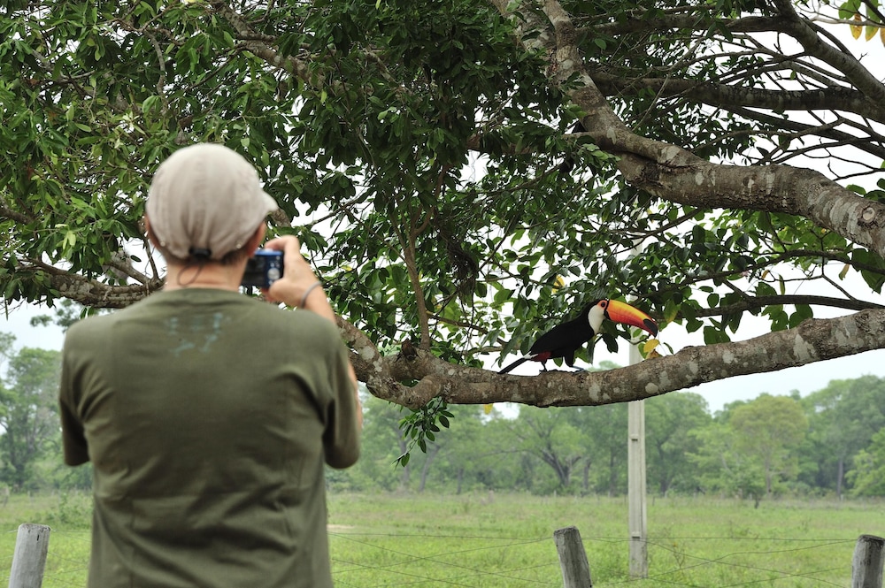 SouthWild Pantanal Lodge