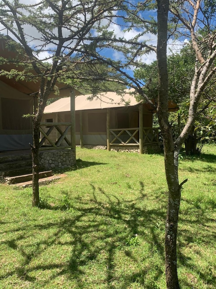 Eco mara forest camp