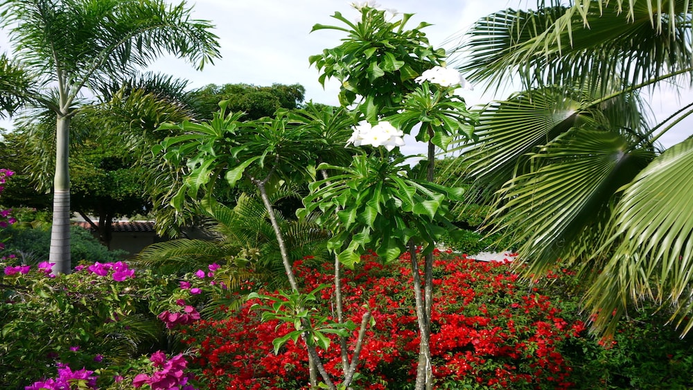 Villa Carpe Diem Curacao