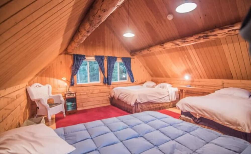 Joy's Kenai River Cabins view 4